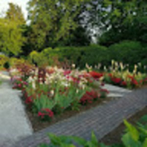 Meet your Posher, Michele